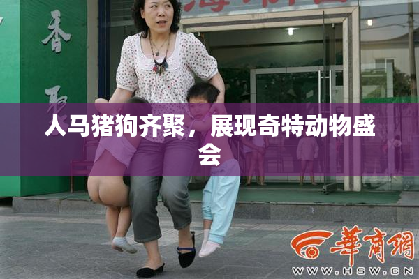 人马猪狗齐聚，展现奇特动物盛会