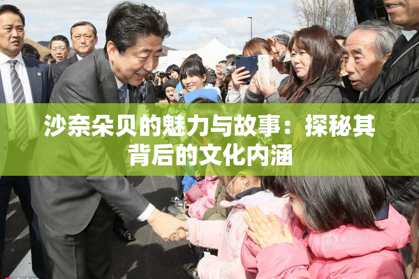 沙奈朵贝的魅力与故事：探秘其背后的文化内涵