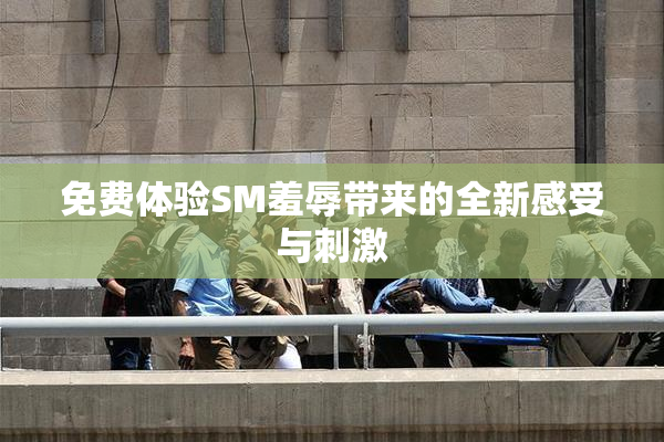 免费体验SM羞辱带来的全新感受与刺激