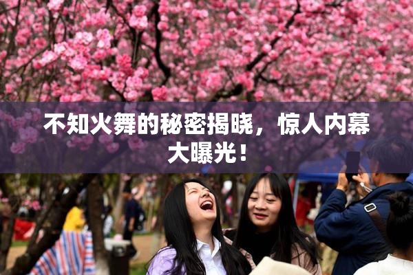 不知火舞的秘密揭晓，惊人内幕大曝光！