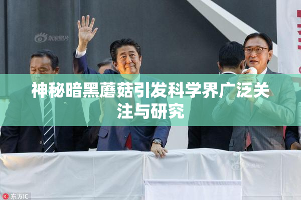 神秘暗黑蘑菇引发科学界广泛关注与研究