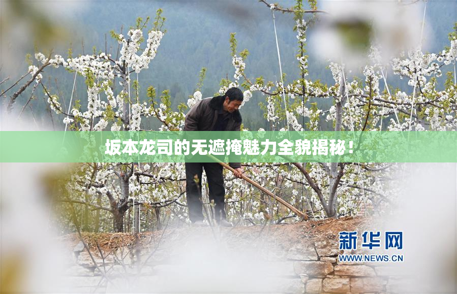 坂本龙司的无遮掩魅力全貌揭秘！
