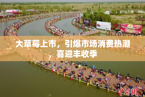 大草莓上市，引爆市场消费热潮，喜迎丰收季