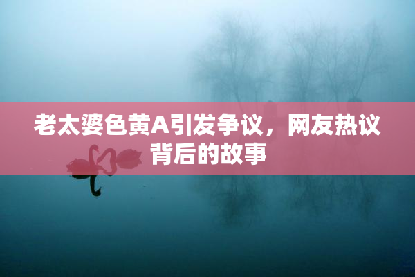 老太婆色黄A引发争议，网友热议背后的故事