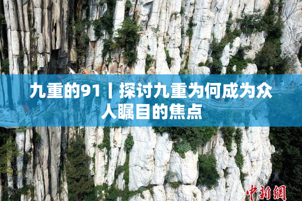 九重的91丨探讨九重为何成为众人瞩目的焦点