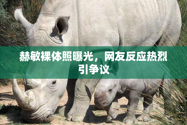 赫敏裸体照曝光，网友反应热烈引争议