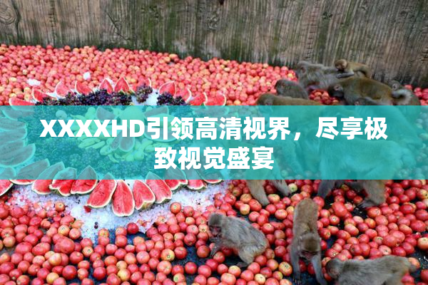 XXXXHD引领高清视界，尽享极致视觉盛宴