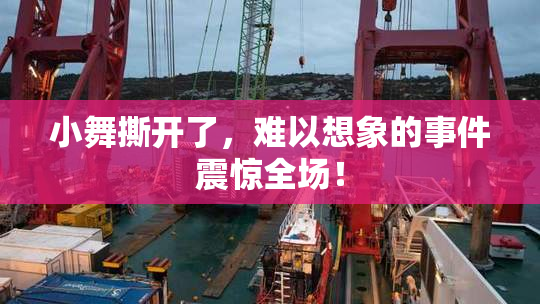 小舞撕开了，难以想象的事件震惊全场！