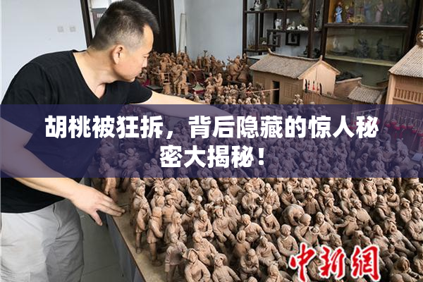 胡桃被狂拆，背后隐藏的惊人秘密大揭秘！