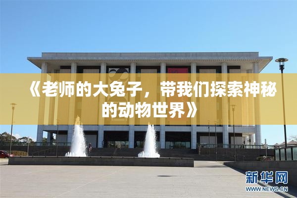 《老师的大兔子，带我们探索神秘的动物世界》
