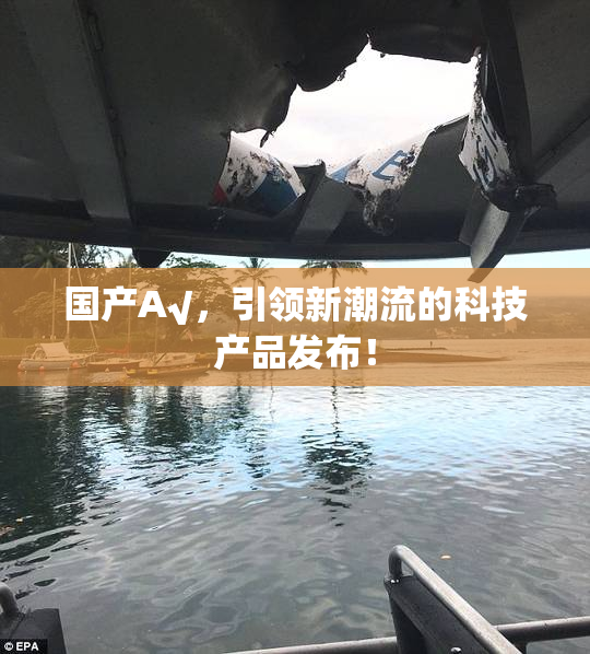 国产A√，引领新潮流的科技产品发布！