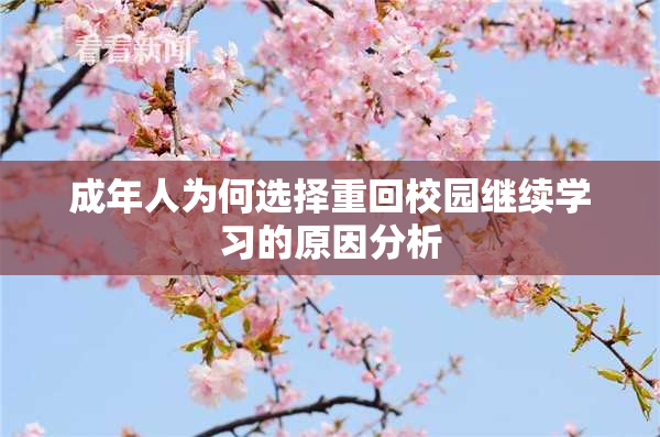成年人为何选择重回校园继续学习的原因分析