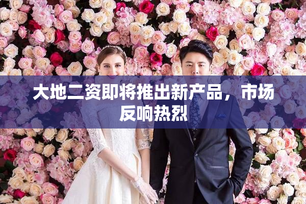 大地二资即将推出新产品，市场反响热烈
