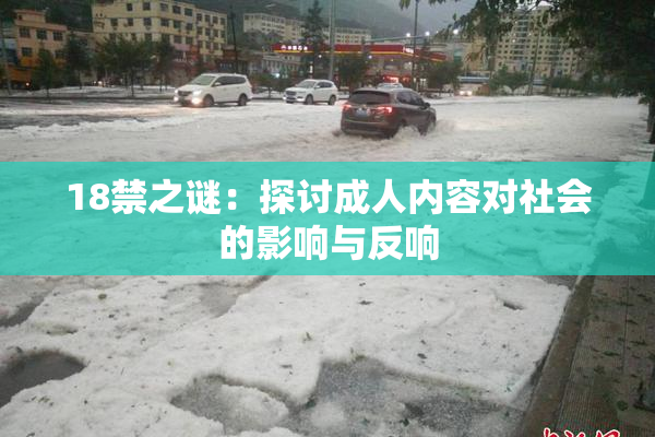 18禁之谜：探讨成人内容对社会的影响与反响