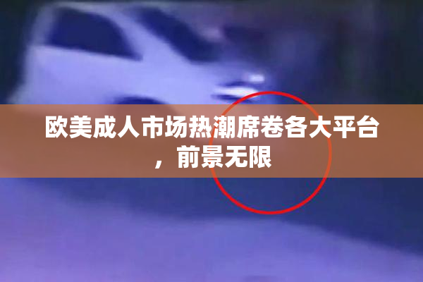 欧美成人市场热潮席卷各大平台，前景无限