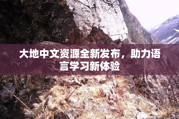 大地中文资源全新发布，助力语言学习新体验