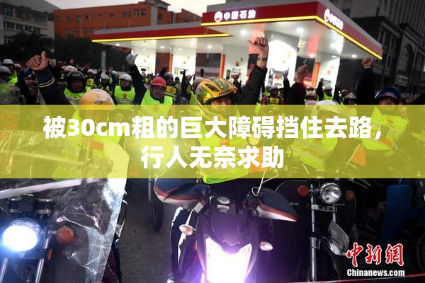 被30cm粗的巨大障碍挡住去路，行人无奈求助