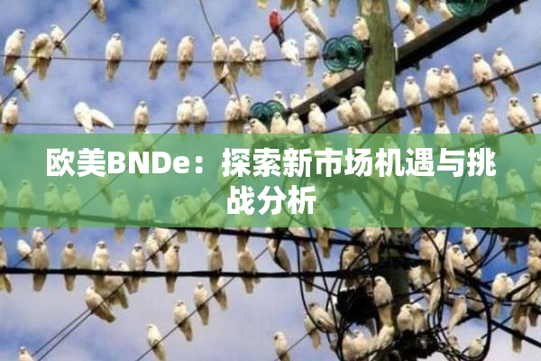 欧美BNDe：探索新市场机遇与挑战分析