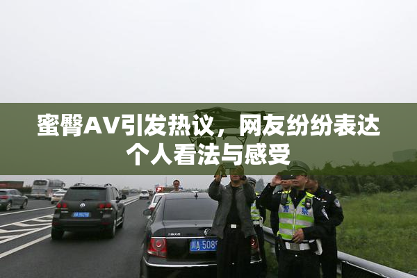 蜜臀AV引发热议，网友纷纷表达个人看法与感受