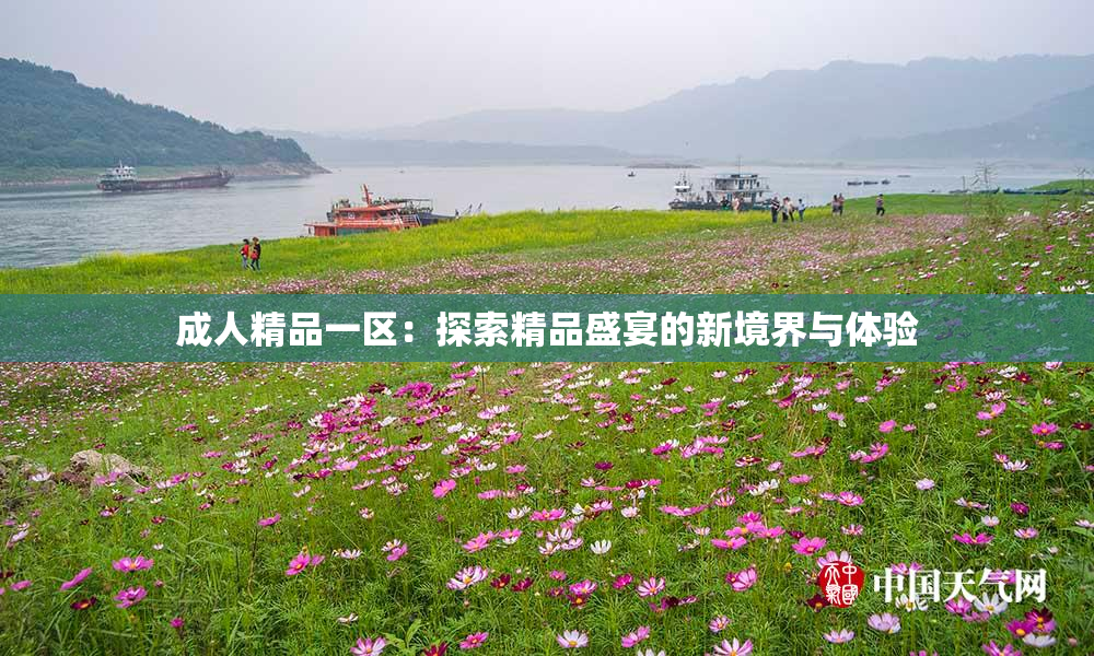 成人精品一区：探索精品盛宴的新境界与体验