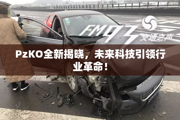 PzKO全新揭晓，未来科技引领行业革命！