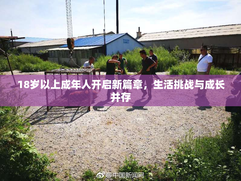 18岁以上成年人开启新篇章，生活挑战与成长并存