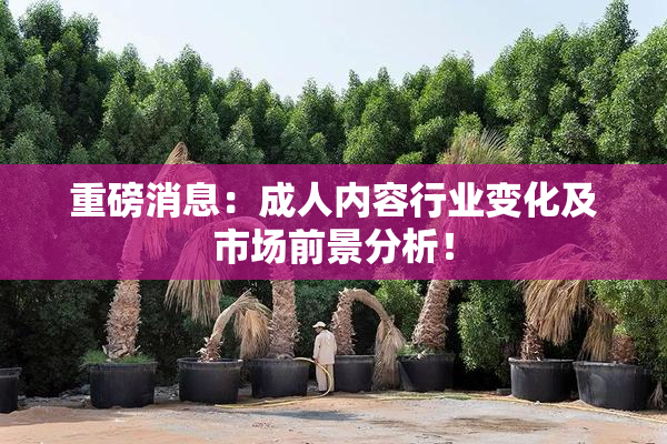 重磅消息：成人内容行业变化及市场前景分析！