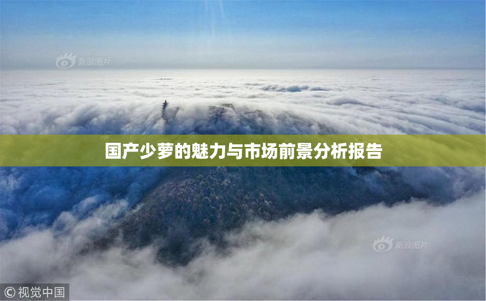 国产少萝的魅力与市场前景分析报告