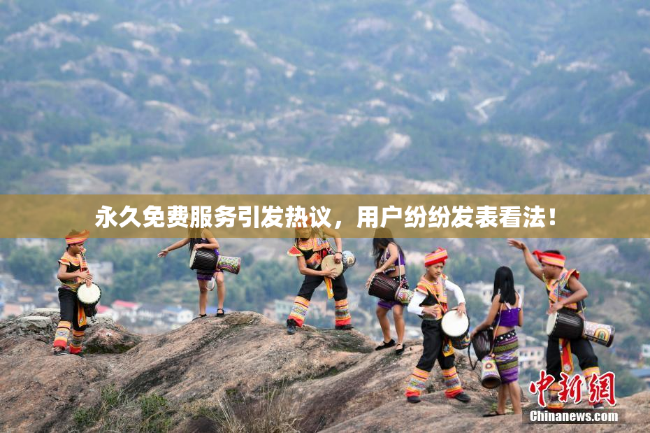 永久免费服务引发热议，用户纷纷发表看法！