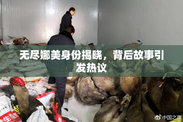 无尽娜美身份揭晓，背后故事引发热议