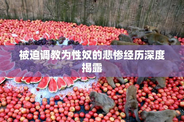 被迫调教为性奴的悲惨经历深度揭露