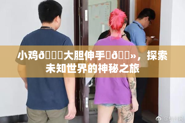 小鸡🐔大胆伸手‌🐻，探索未知世界的神秘之旅