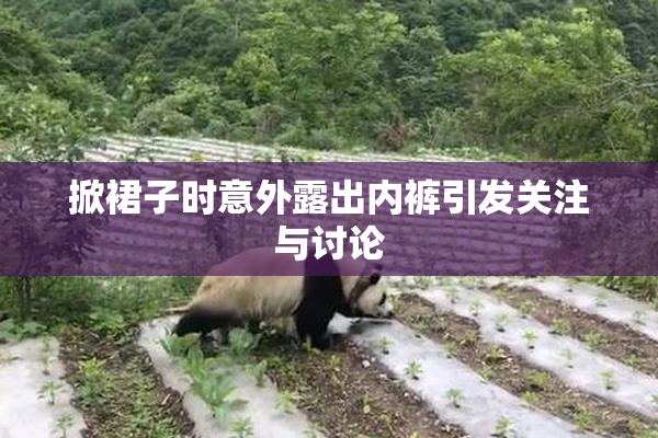 掀裙子时意外露出内裤引发关注与讨论