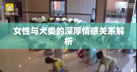 女性与犬类的深厚情感关系解析