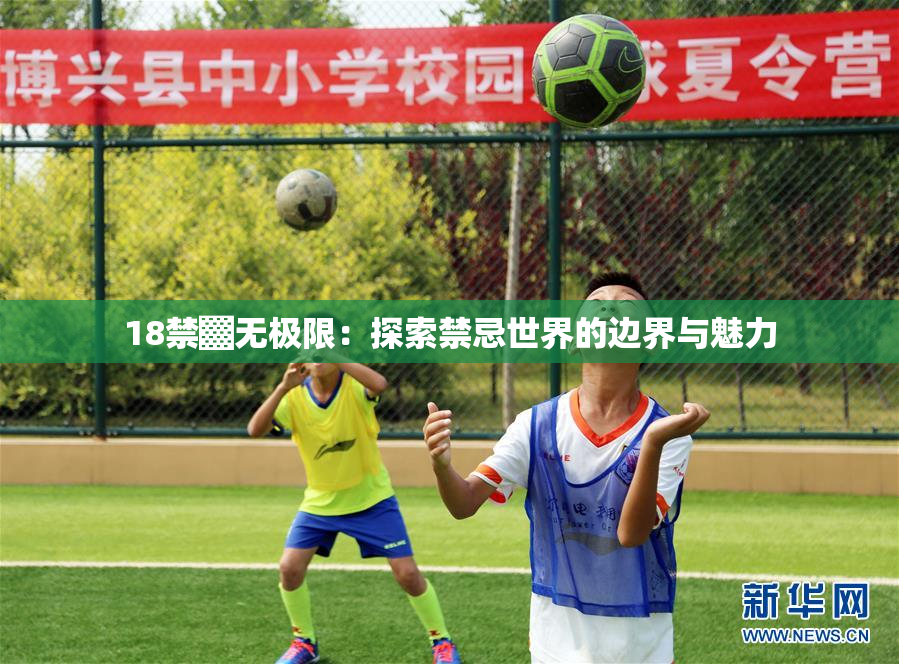18禁▓无极限：探索禁忌世界的边界与魅力