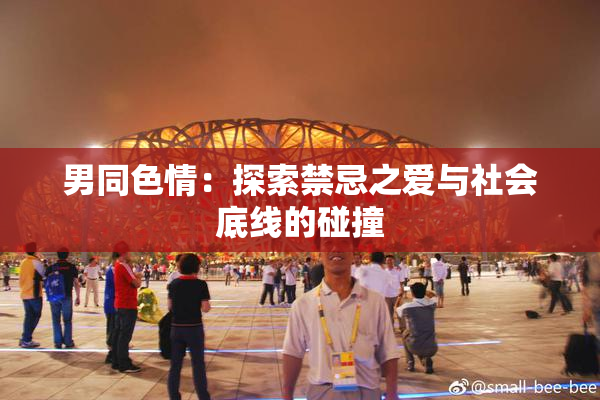 男同色情：探索禁忌之爱与社会底线的碰撞