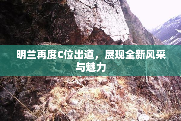 明兰再度C位出道，展现全新风采与魅力