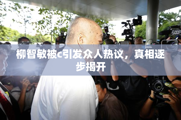 柳智敏被c引发众人热议，真相逐步揭开