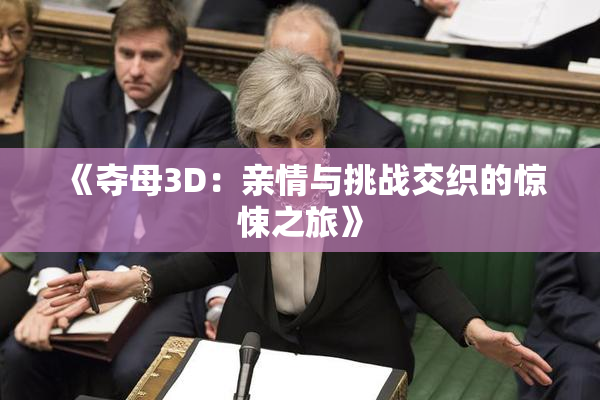 《夺母3D：亲情与挑战交织的惊悚之旅》