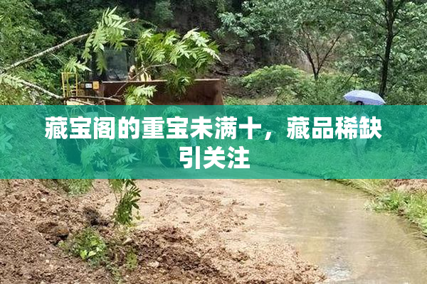 藏宝阁的重宝未满十，藏品稀缺引关注