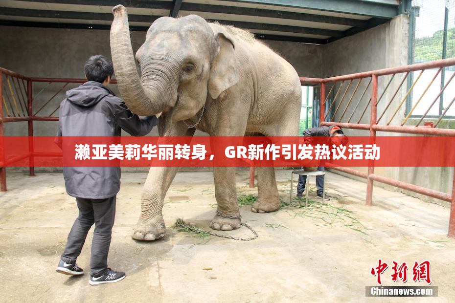濑亚美莉华丽转身，GR新作引发热议活动