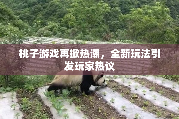 桃子游戏再掀热潮，全新玩法引发玩家热议