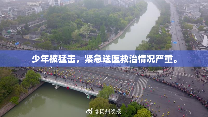 少年被猛击，紧急送医救治情况严重。