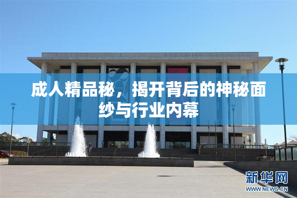 成人精品秘，揭开背后的神秘面纱与行业内幕