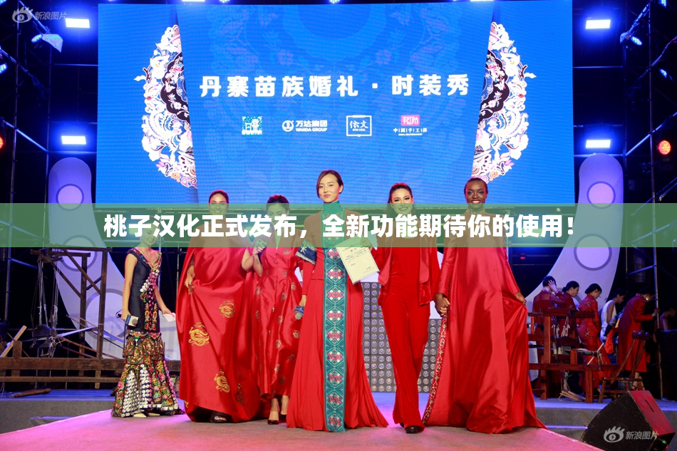 桃子汉化正式发布，全新功能期待你的使用！