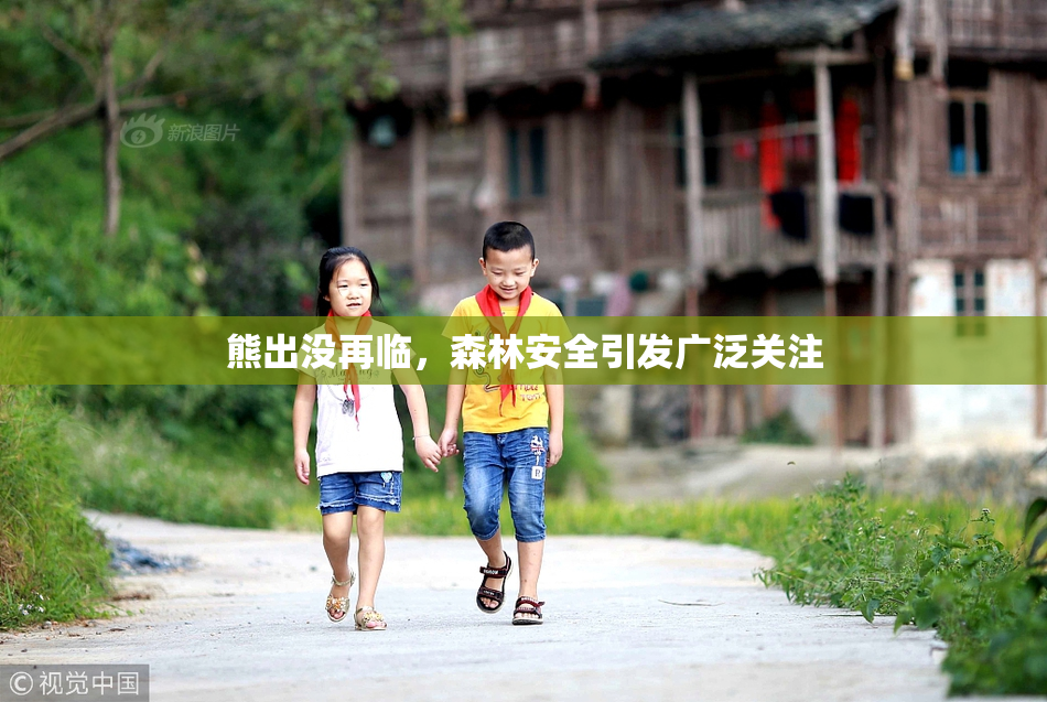 熊出没再临，森林安全引发广泛关注