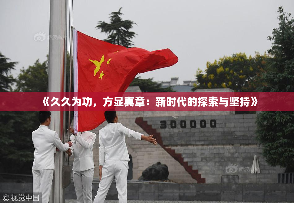 《久久为功，方显真章：新时代的探索与坚持》