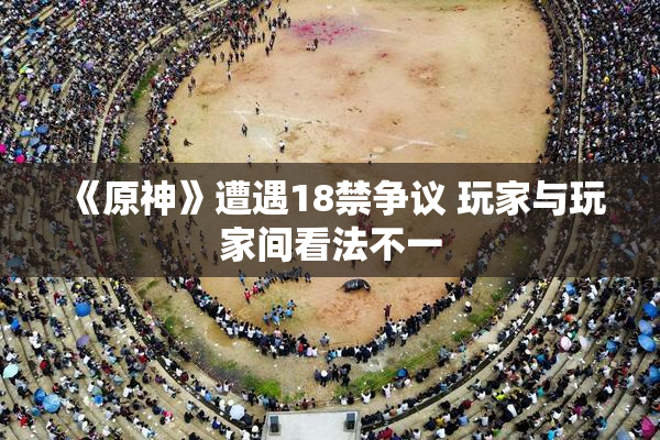 《原神》遭遇18禁争议 玩家与玩家间看法不一
