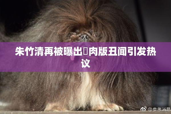朱竹清再被曝出婬肉版丑闻引发热议