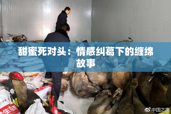 甜蜜死对头：情感纠葛下的缠绵故事